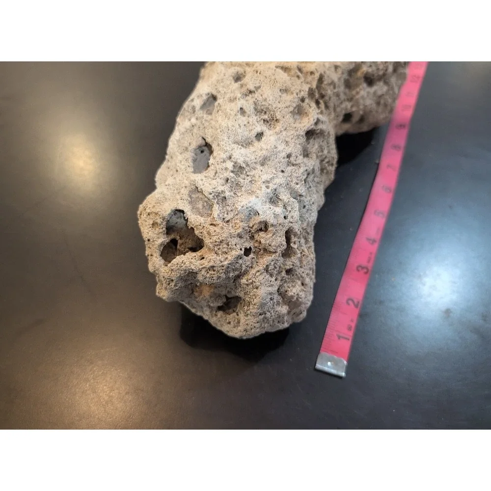 Coral Reef Cluster Specimen - 10